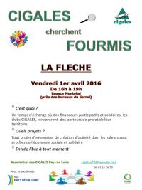 Cigales cherchent Fourmis. Le vendredi 1er avril 2016 à LA FLECHE. Sarthe.  16H9h